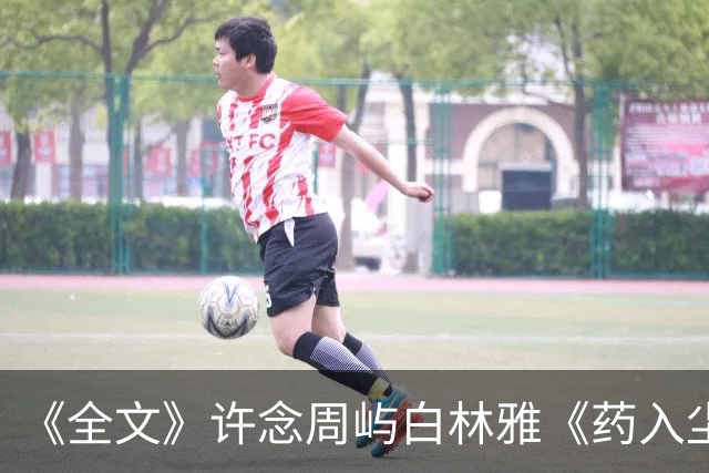《全文》许念周屿白林雅《药入尘时，爱意早成灰》
