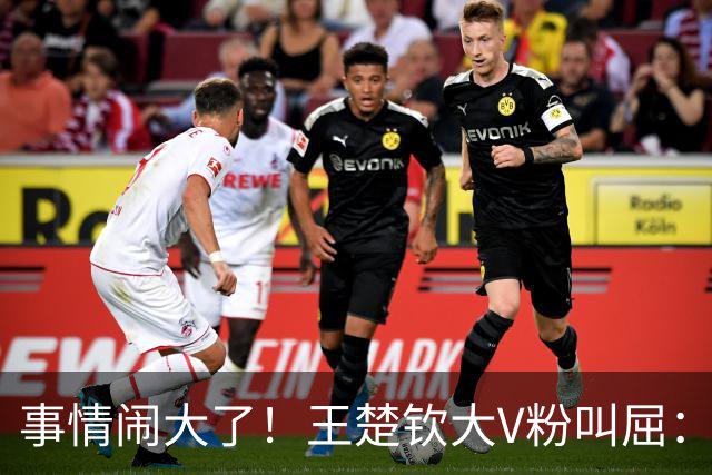事情闹大了！王楚钦大V粉叫屈：两小只是财神，是饭圈养着国乒