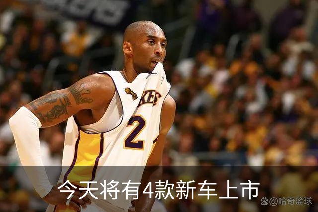 今天将有4款新车上市