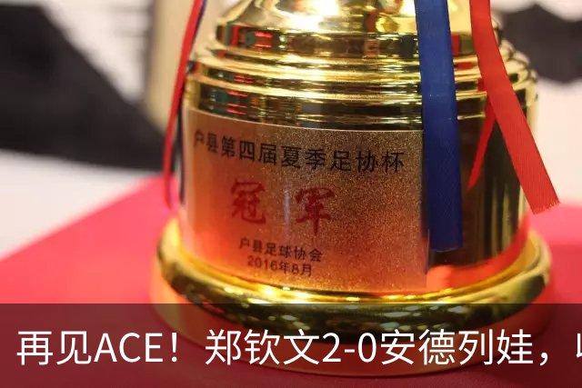 再见ACE！郑钦文2-0安德列娃，收获115万美元+1000积分+创造历史