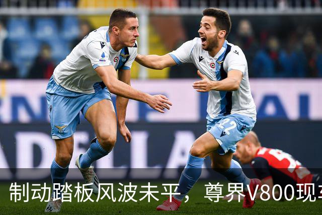 制动踏板风波未平，尊界V800现车加价仍在