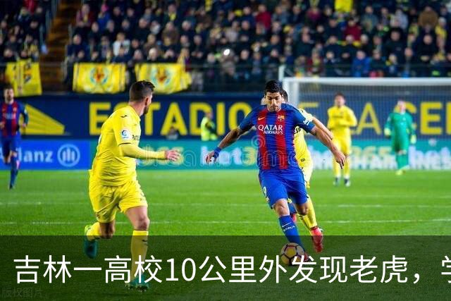吉林一高校10公里外发现老虎，学生被通知晚上不要在外逗留，学校工作人员：老虎暂时影响不到学校，已经加强保卫巡查，通往后山的门已封闭