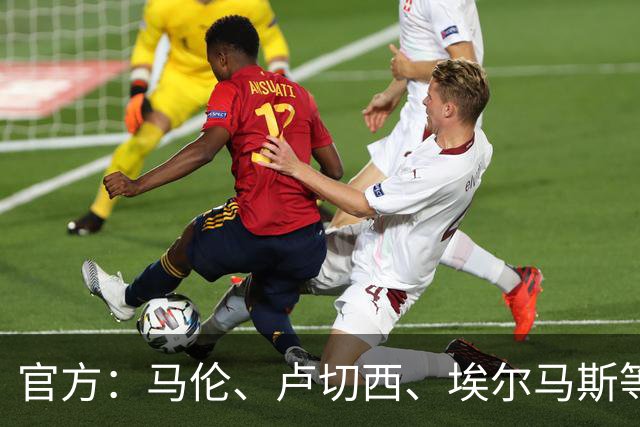 官方：马伦、卢切西、埃尔马斯等5人下轮意甲停赛