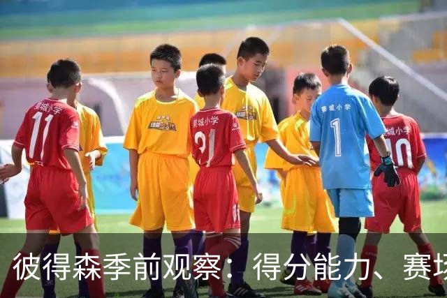 彼得森季前观察：得分能力、赛场稳定性及成长环境