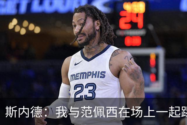 斯内德：我与范佩西在场上一起踢球，但场下一句话不说