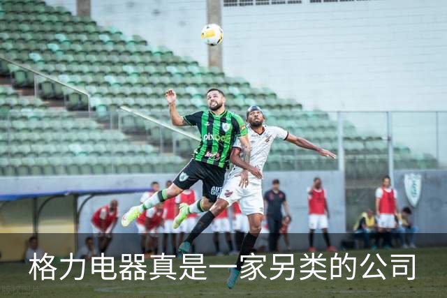 格力电器真是一家另类的公司