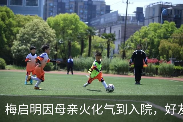 梅启明因母亲火化气到入院，好友透露丧礼细节，称梅妈晚年变和善