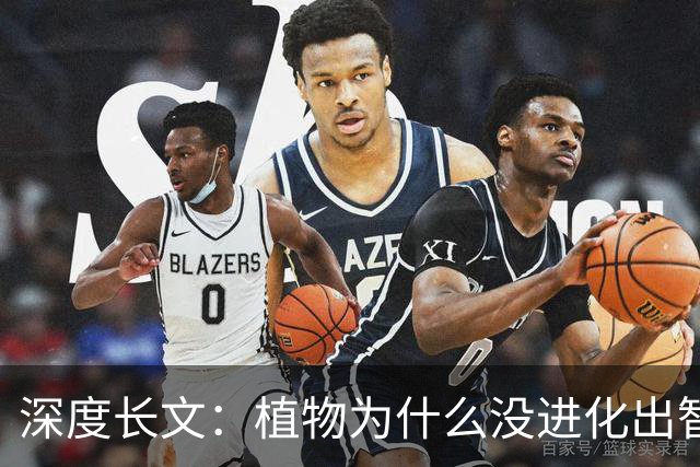 深度长文：植物为什么没进化出智慧？不长脑子的植物才是顶级赢家