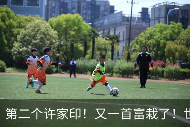 第二个许家印！又一首富栽了！世界500强竟是假的，千亿帝国清零