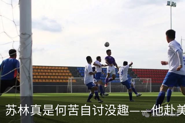 苏林真是何苦自讨没趣——他赴美出席联大会议，本想学一学大国外交，谁知刚在美国议员的会客室里落座，气氛立刻就变了味