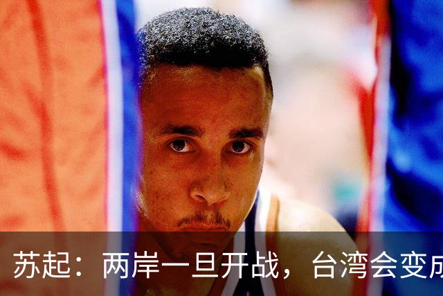 苏起：两岸一旦开战，台湾会变成加沙。台湾网民：打就打，谁怕谁