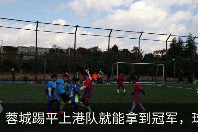 蓉城踢平上港队就能拿到冠军，球迷觉得还是谨慎看好，值得期待