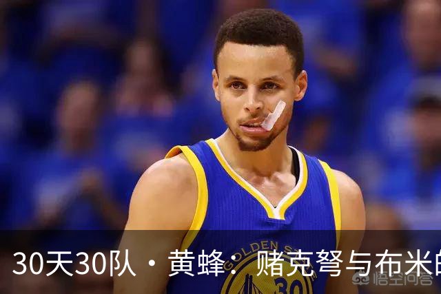 30天30队·黄蜂：赌克弩与布米的远射吗？
