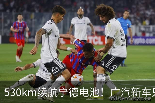 530km续航/宁德电池！广汽新车只要8万